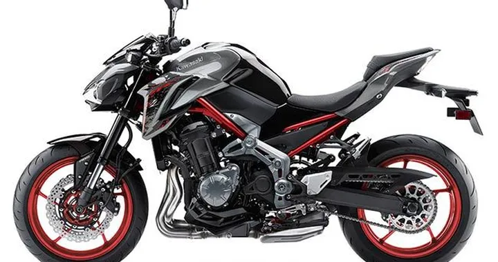 Kawasaki Z900 MY2019: naked da 125 CV