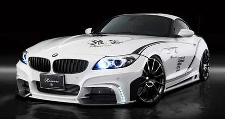Bmw Z4 White Wolf by Rowen