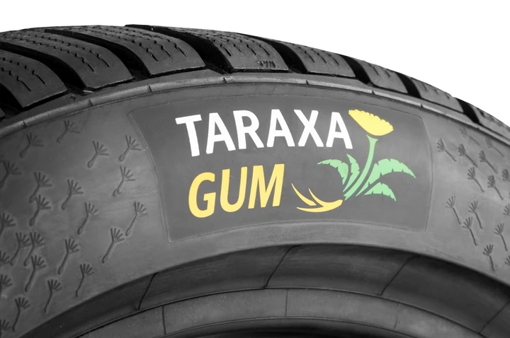 Continental: un centro per studiare la gomma naturale dal tarassaco