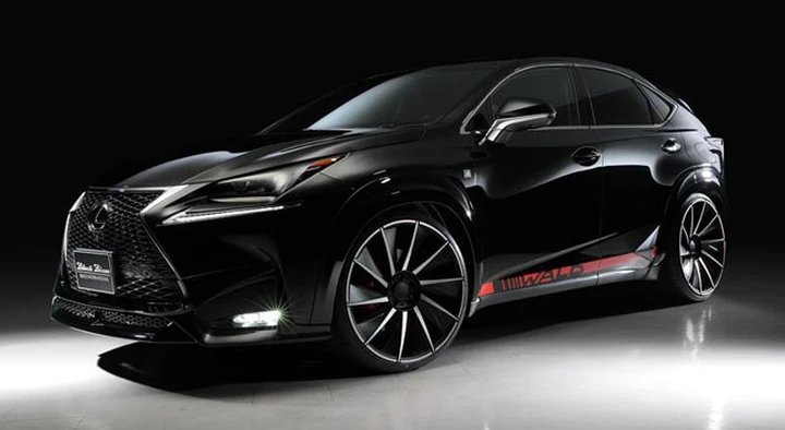Lexus NX by Wald International